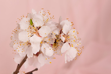 Similar image 7907952