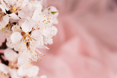 Similar image 7907954