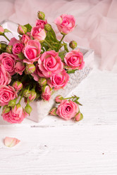 Similar image 7907959