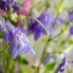 Similar image 7907981