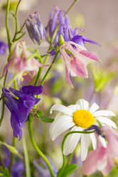 Similar image 7907982