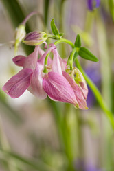 Similar image 7907983