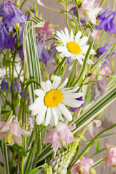 Similar image 7907984