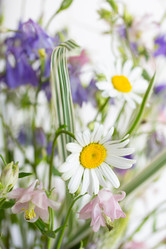 Similar image 7907985