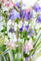 Similar image 7907987