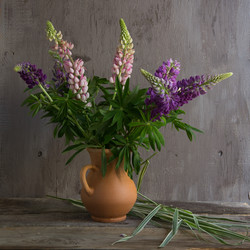 Similar image 7907988