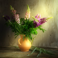 Similar image 7907999