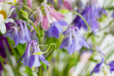 Similar image 7908000