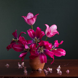 Similar image 7908005