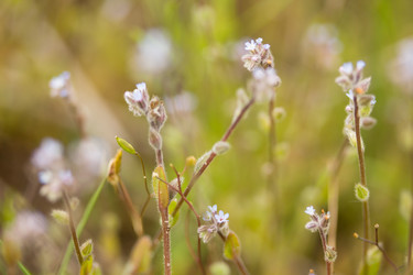 Similar image 7908010