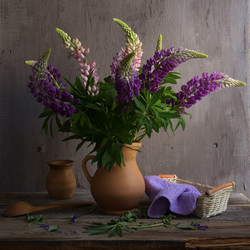 Similar image 7908011