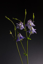 Similar image 7908014