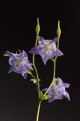 Similar image 7908015