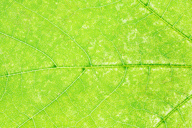 Similar image 7908053