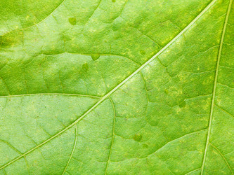 Similar image 7908054