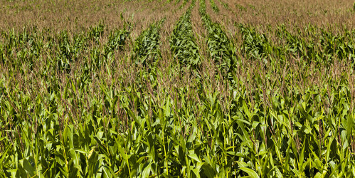 Similar image 7908096