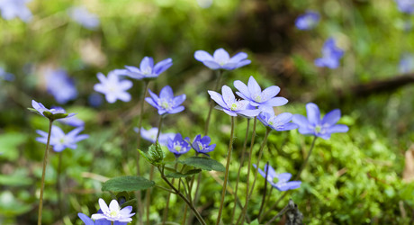 Similar image 7908112