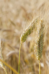 Similar image 7908114