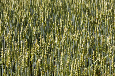 Similar image 7908116