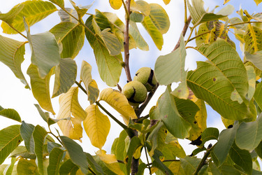 Similar image 7908118