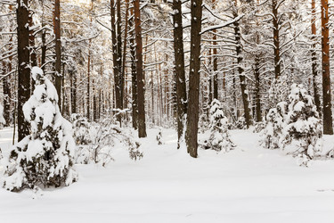 Similar image 7908119