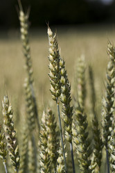 Similar image 7908126