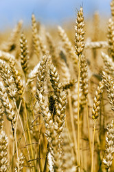 Similar image 7908130