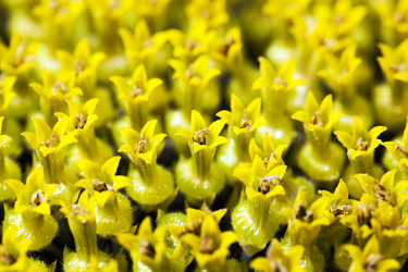 Similar image 7908159