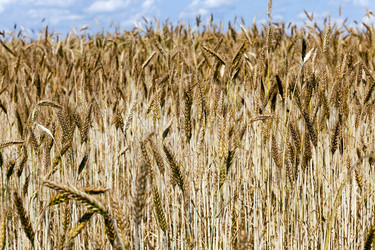 Similar image 7908168