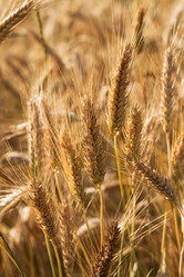 Similar image 7908177