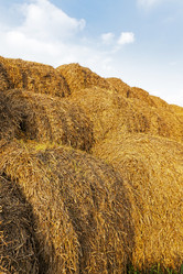 Similar image 7908178