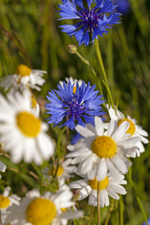 Similar image 7908184