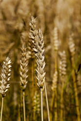 Similar image 7908191