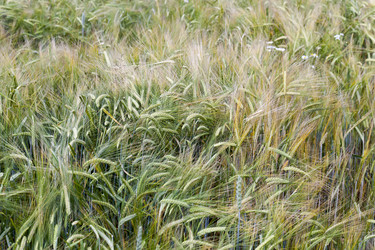 Similar image 7908200