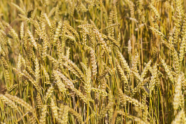 Similar image 7908203