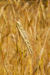 Similar image 7908206