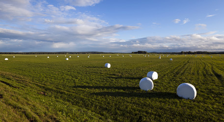 Similar image 7908208