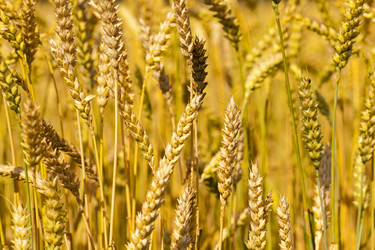 Similar image 7908212