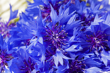 Similar image 7908214