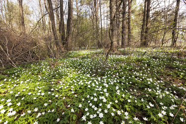 Similar image 7908216