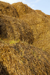 Similar image 7908221