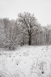 Similar image 7908224