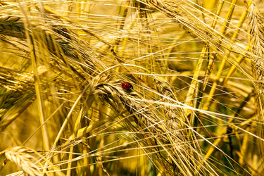 Similar image 7908229