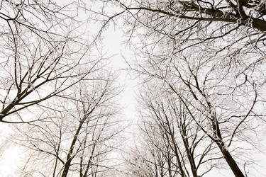 Similar image 7908244