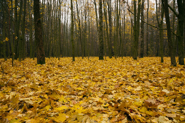 Similar image 7908248