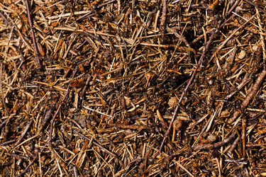 Similar image 7908252