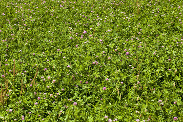 Similar image 7908254