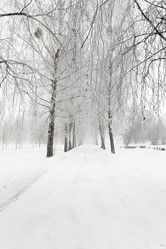 Similar image 7908260