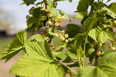 Similar image 7908279