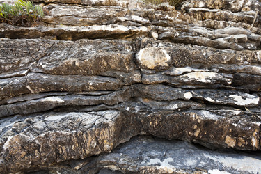 Similar image 7908301